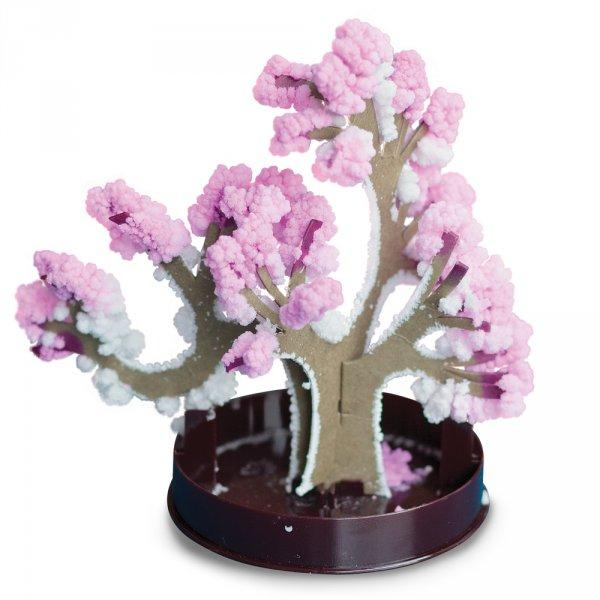 ds19730349_zimni_bonsai_bila_5