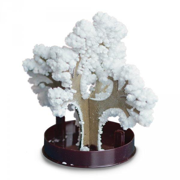 ds27766531_zimni_bonsai_ruzova_1