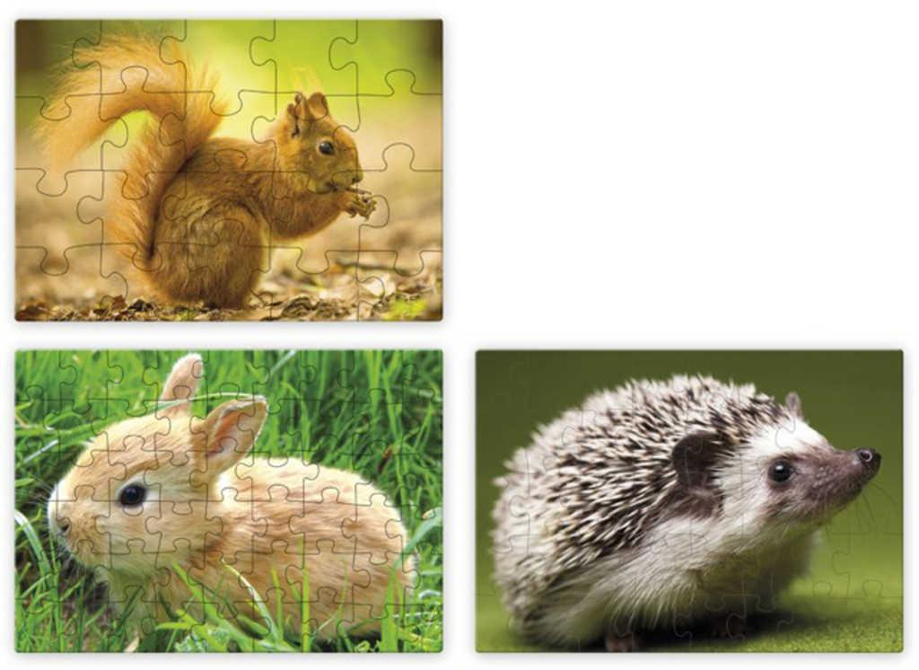 EFKO Puzzle 3v1 Mláďátka v Lese skládačka foto 21x15cm