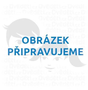 nahrávám obrázek