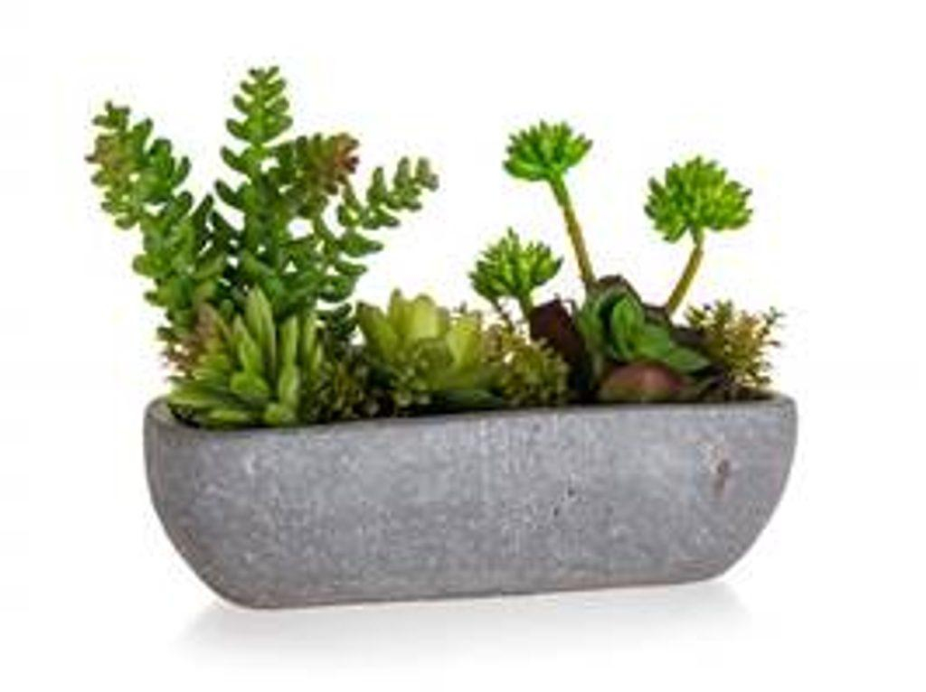 HOME DECOR Mix sukulentů v betonovém květináči 27 x 11,5 x 20 cm, zelený