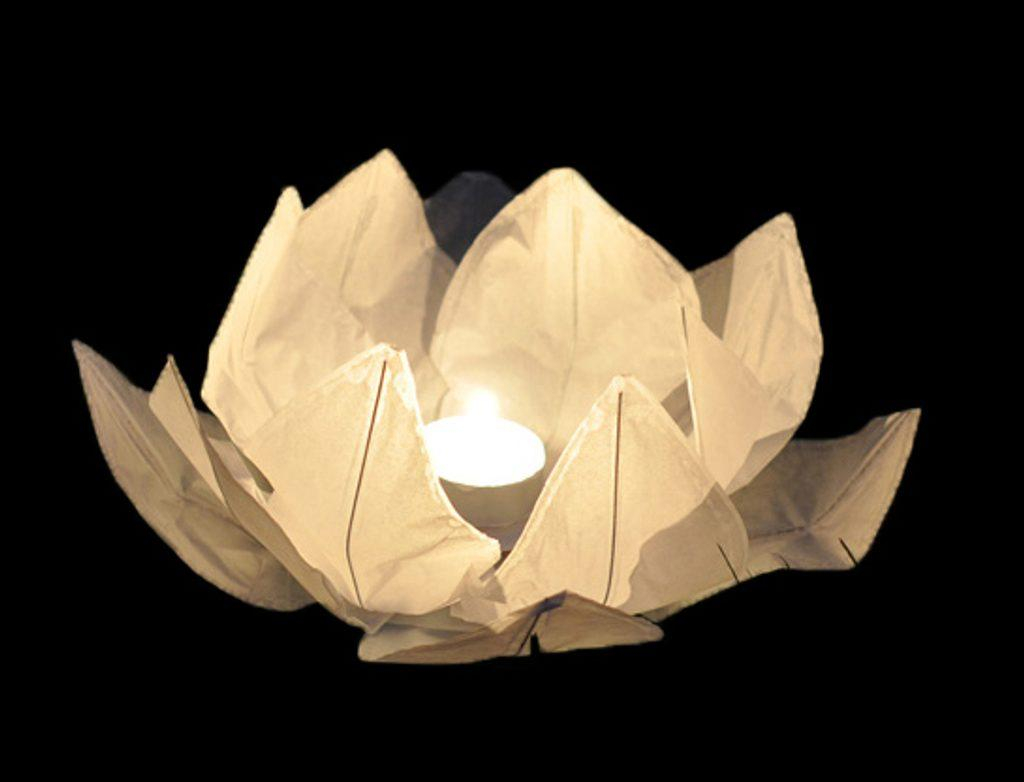 ds58419611_vodni_lampion_zelena_2