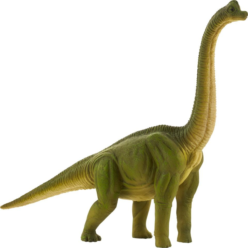 ds84319437_mojo_animal_planet_brachiosaurus_velky_1