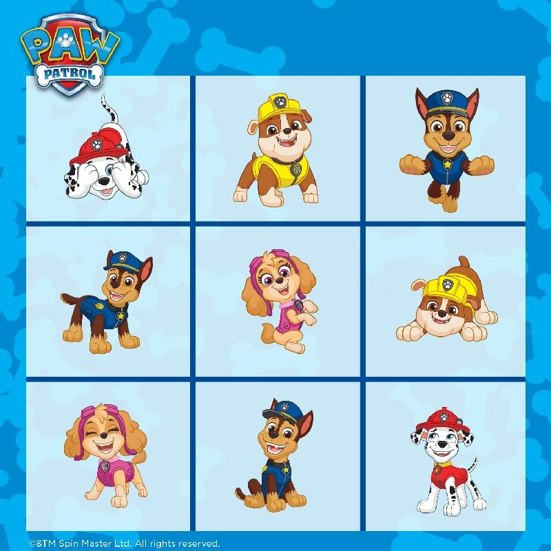 ds97237106_hra_paw_patrol_bingo_s_razitky_6