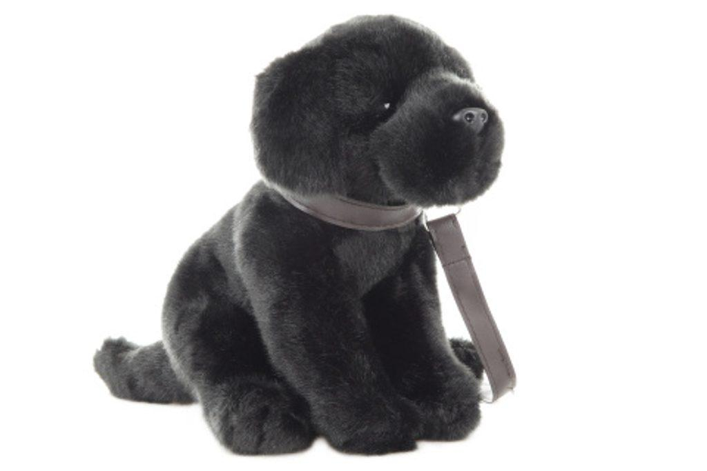 Plyš Labrador s vodítkem 30 cm - ECO-FRIENDLY